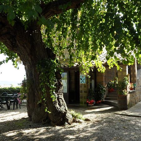 Готель Mola Solis Civitella d'Agliano Екстер'єр фото